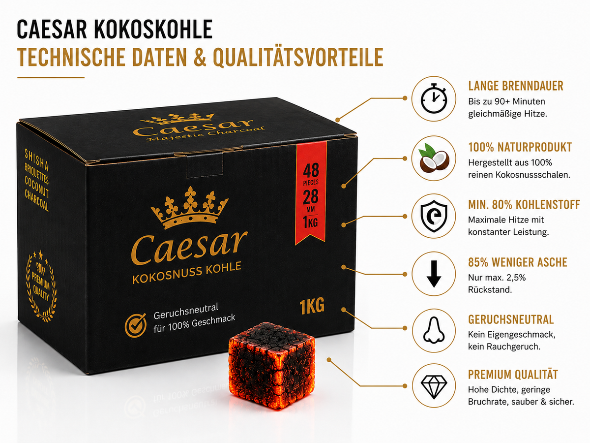 Caesar Premium Kokosnusskohle 28 mm – 1 Kg (48 Würfel)