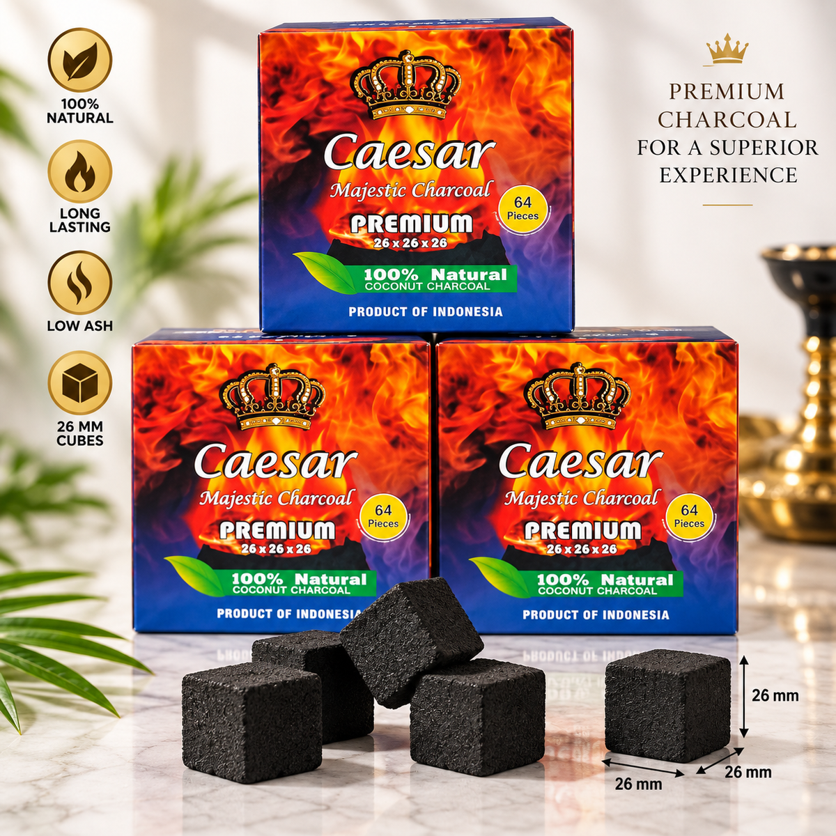 Caesar Premium Kokosnusskohle 26 mm – 1 KG (64 Würfel)